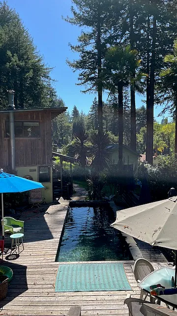 view from back deck looking at pool which is filled part of the year. - 4693 Branciforte Dr