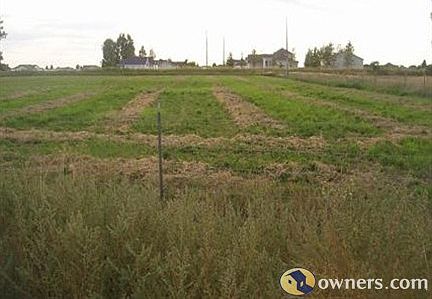 Front pasture with pressurized irrigation