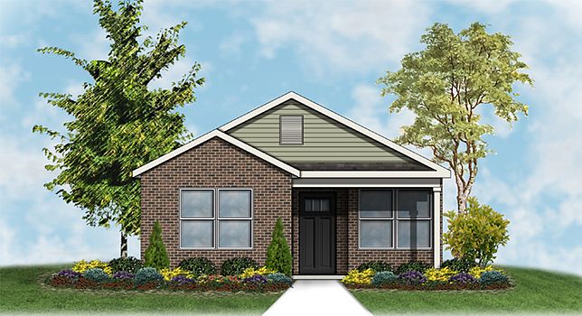 Elevation Image 0.