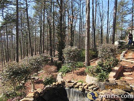 Lots of Privacy in Backyard