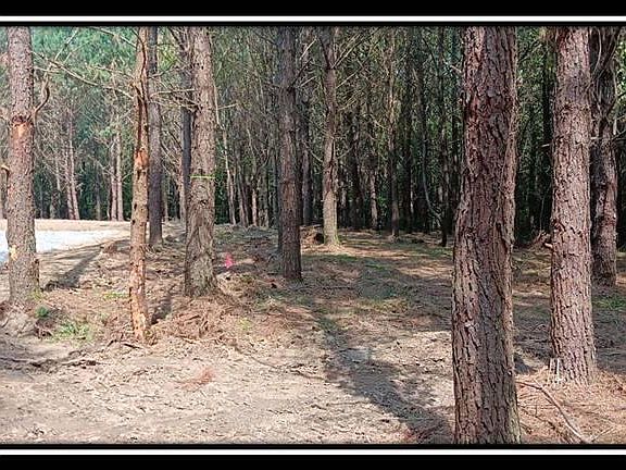 5th image of 0 Township Road 262a SE