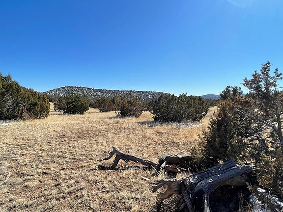 4th image of 52338 N Naranjo Ln