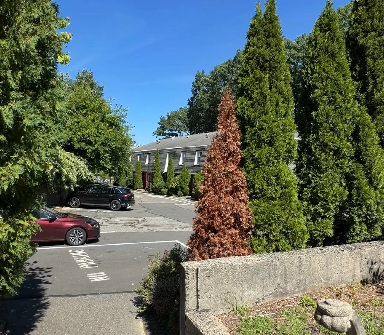 538 Wilson St — Photo 1