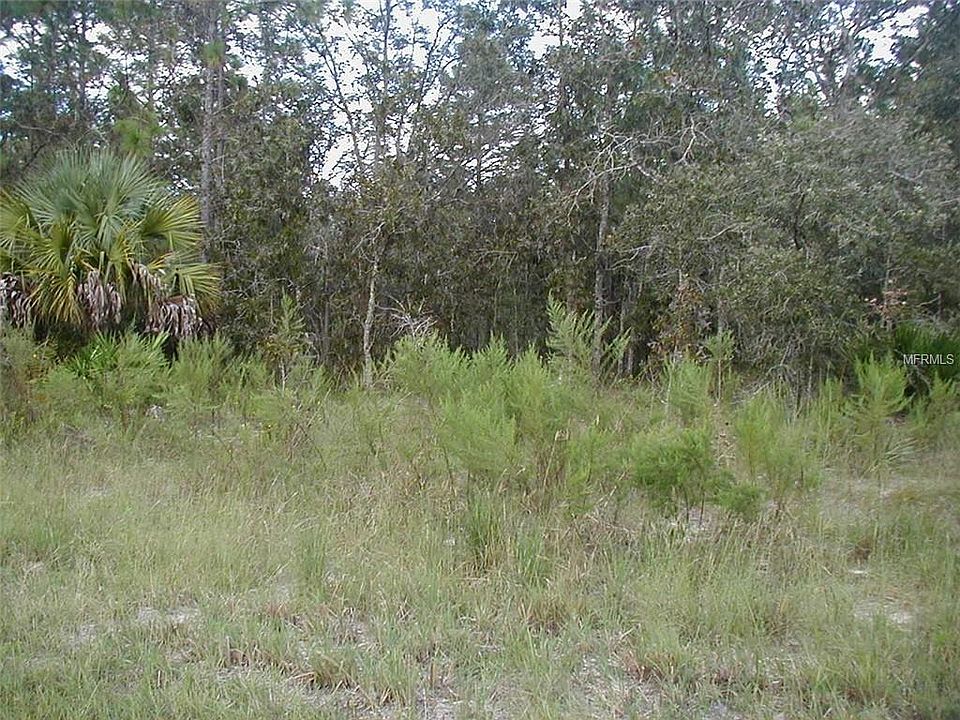 2nd image of Dusky Warbler Rd