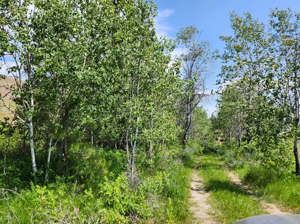 Tbd Roundabout Rd, Tonasket, WA 98855