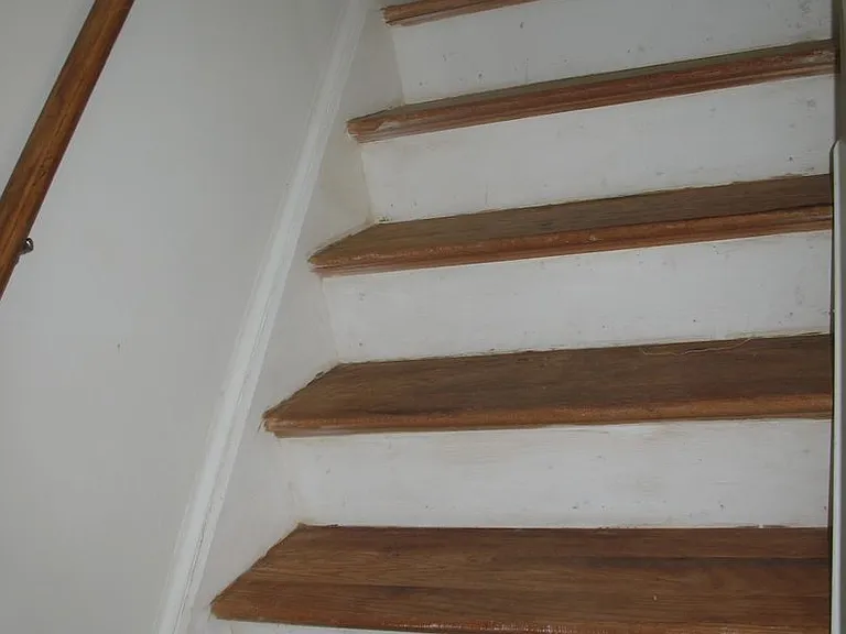270 Albert Ct — Photo 9