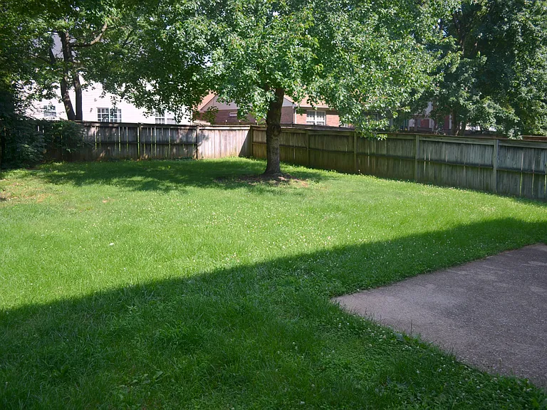 Large fenced backyard