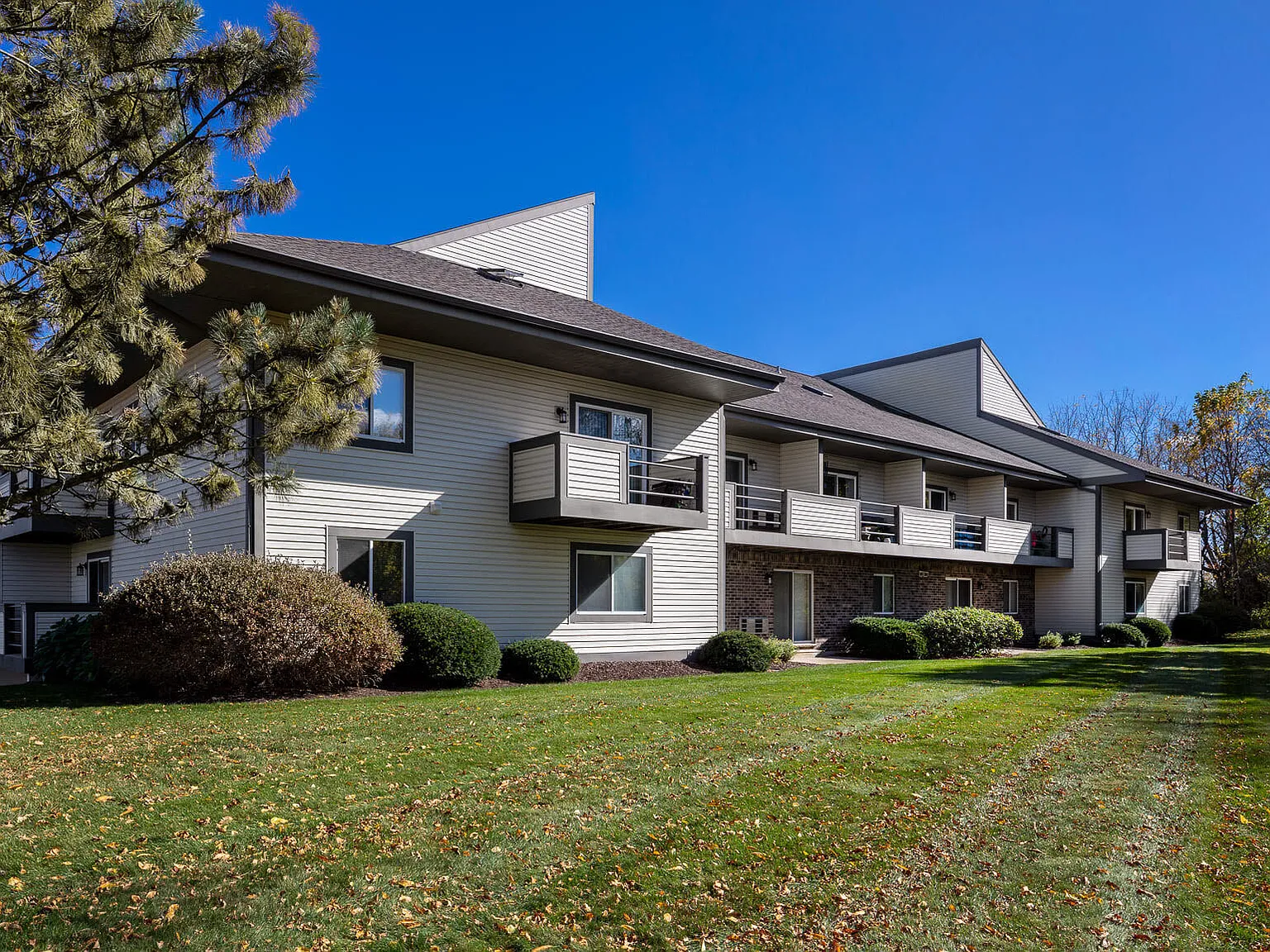Pine Cove Apartments — Photo 4