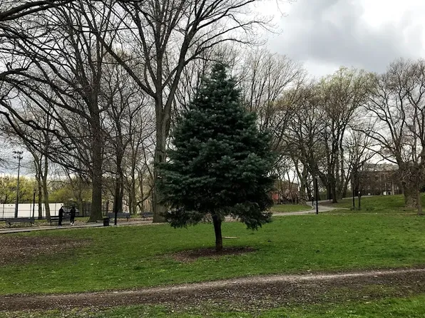 22 Ford Street image 18 of 21