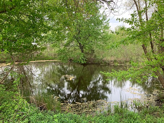 2nd Pond