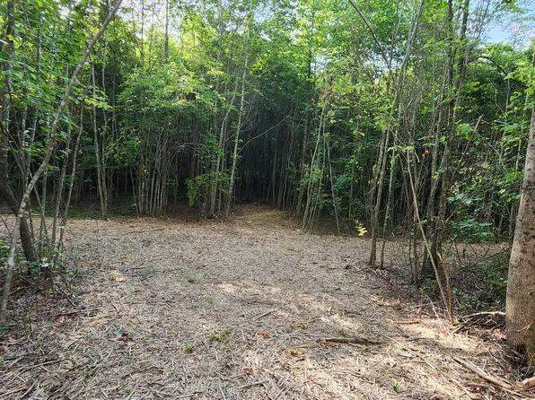 0 Tootley Campbell Rd, Monteagle, TN 37356