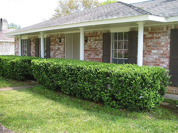 2nd image of 11903 Meadowdale Dr