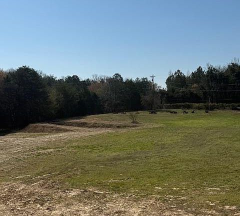 4th image of 201 County Road 756