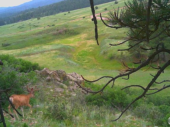 5th image of 0 Cap Rock Rds #4
