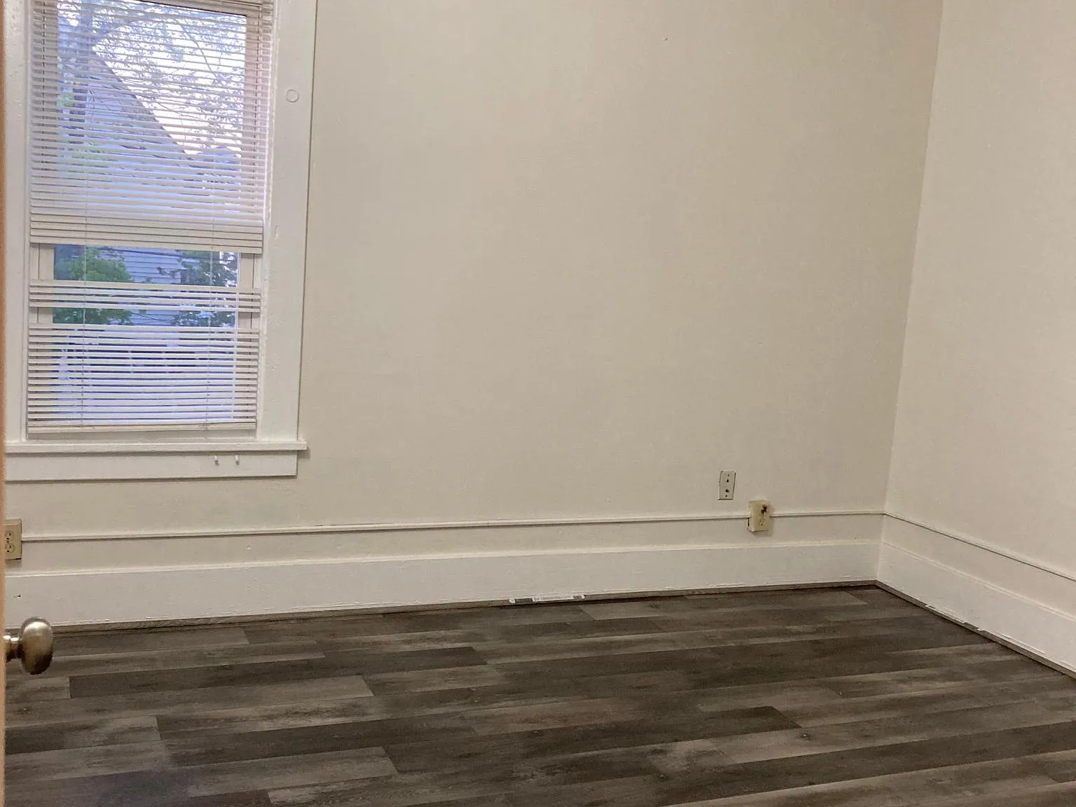 178 Goulding Ave — Photo 3