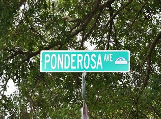 2029 Ponderosa Ave, Winter Park, FL 32792