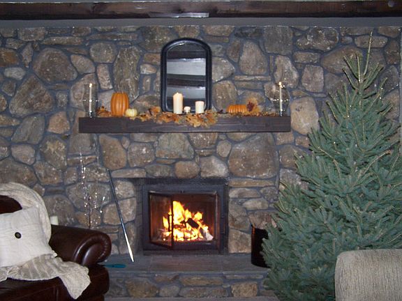 Fireplace in Living Room