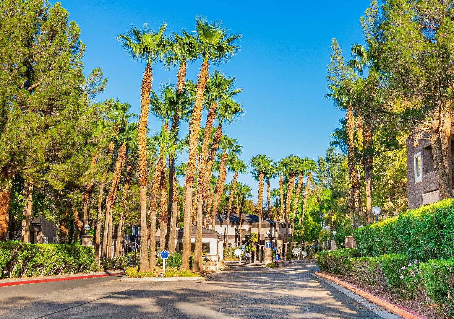 Resort-Style Living in Spanish Palms 3BR/2BA Gated Condo — Photo 3