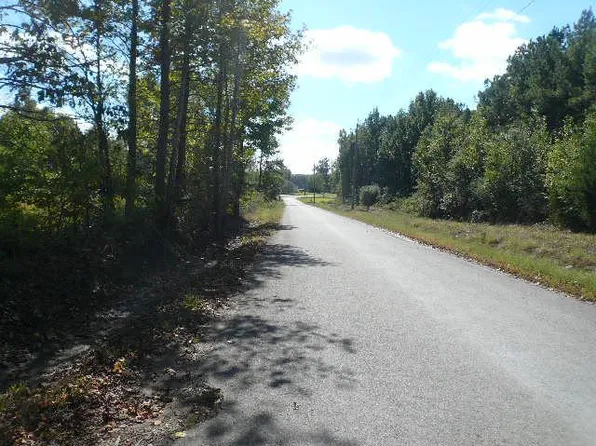 131 Butlerville Rd, Ward, AR 72176