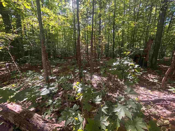 Zmikly Rd, Harbor Springs, MI 49740