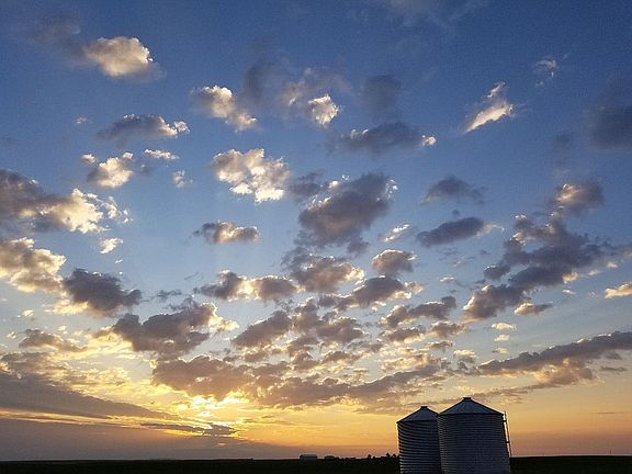 5th image of 8073 Brady Rd