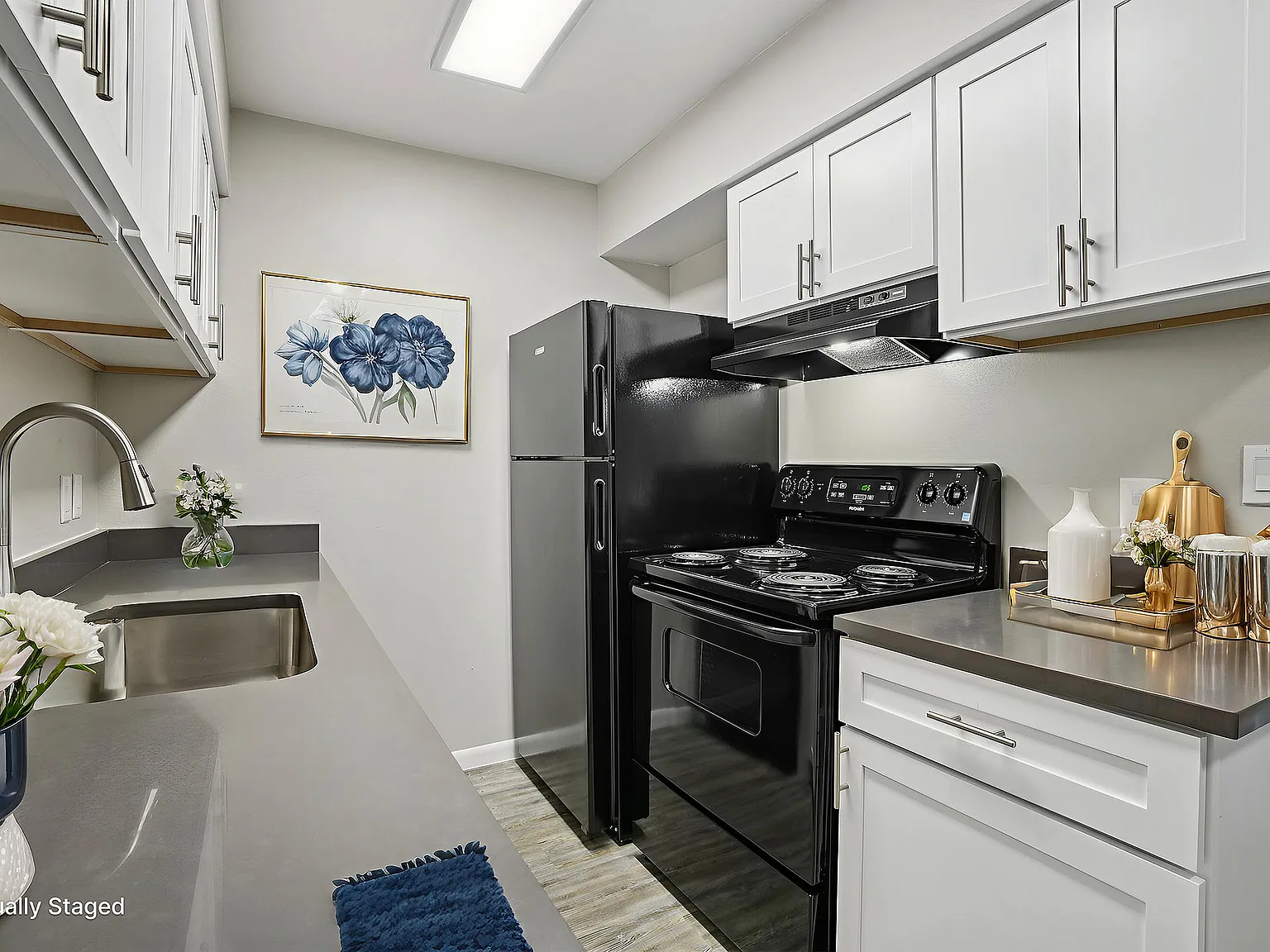 Astra — Photo 4