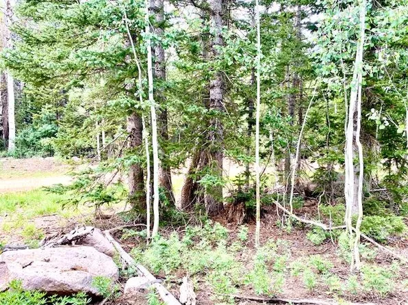 384 N 275 E Lot 91 & 92, Brian Head, UT 84719