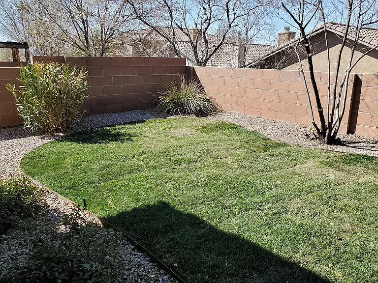 7309 Wild Olive Ave NE — Photo 28