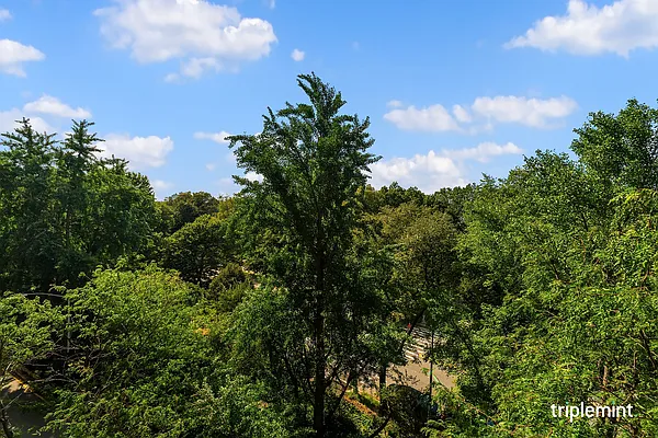 Sold by Triplemint | media 5