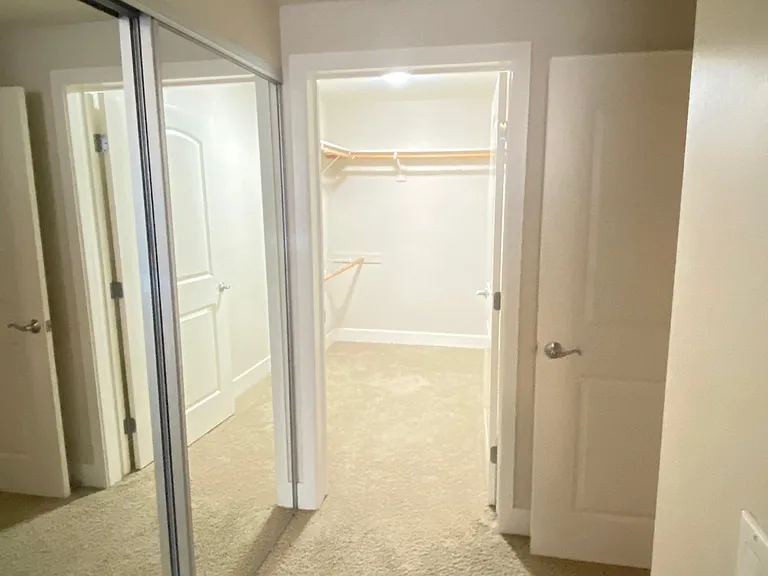 Large walk-in closet