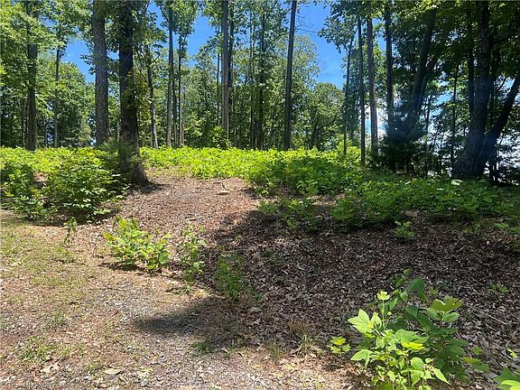5th image of Wilderness Rd