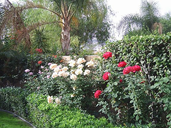 Garden, Flower