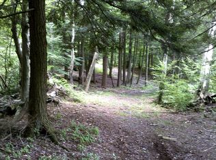 Duck Harbor Rd, Equinunk, PA 18417