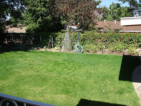Back yard looking north