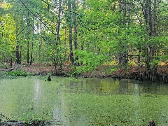 5th image of County Road 430