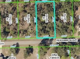 0 Persimmon Ave, Brooksville, FL 34614