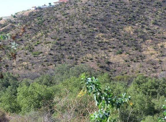 4th image of 35771 Avenida La Cresta