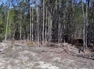 Mount Elon Church Rd, Hopkins, SC 29061