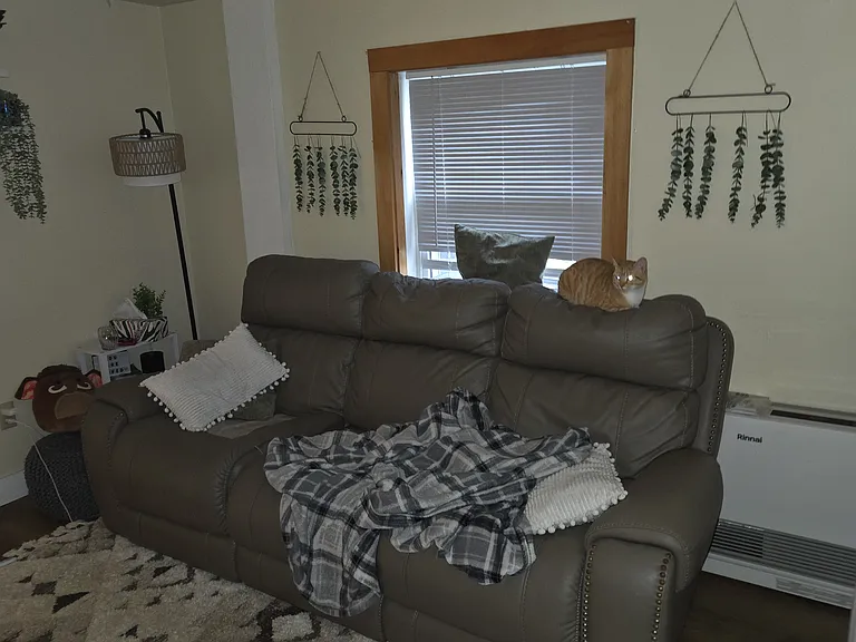 14 Hoyt Ln #14B — Photo 2