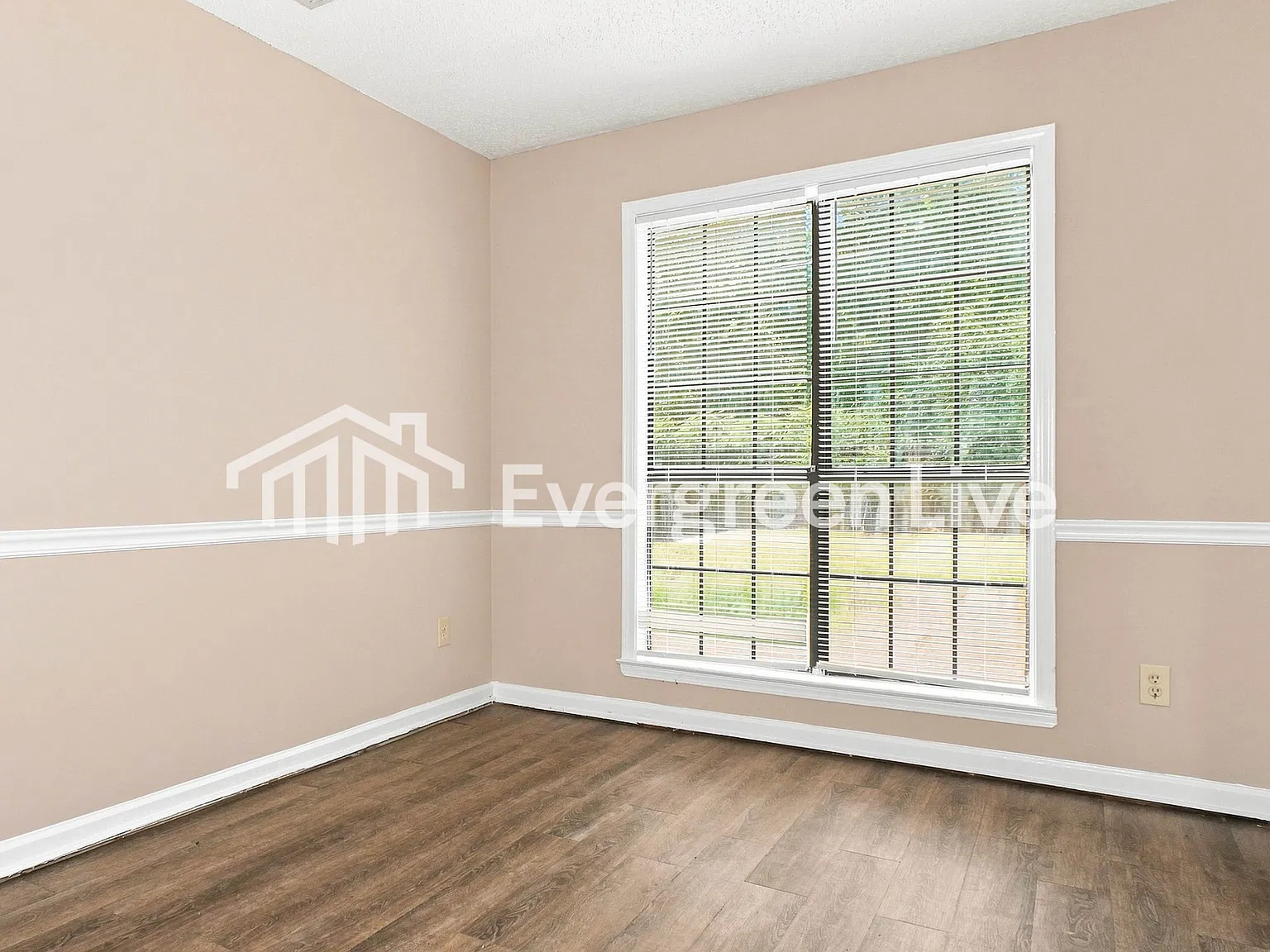 3 bed, 1.0 bath, 993 sqft, $1,445 — Photo 4