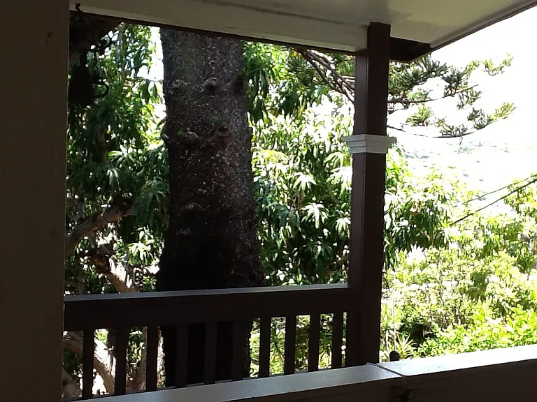 3345 Sierra Dr — Photo 12