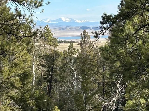 1506 Bellows Road LOT 1439, Hartsel, CO 80449