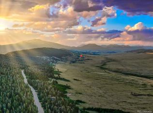 3557 Redhill Rd #474, Fairplay, CO 80440