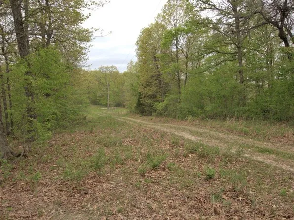 31 Aloha Ln, Noel, MO 64854