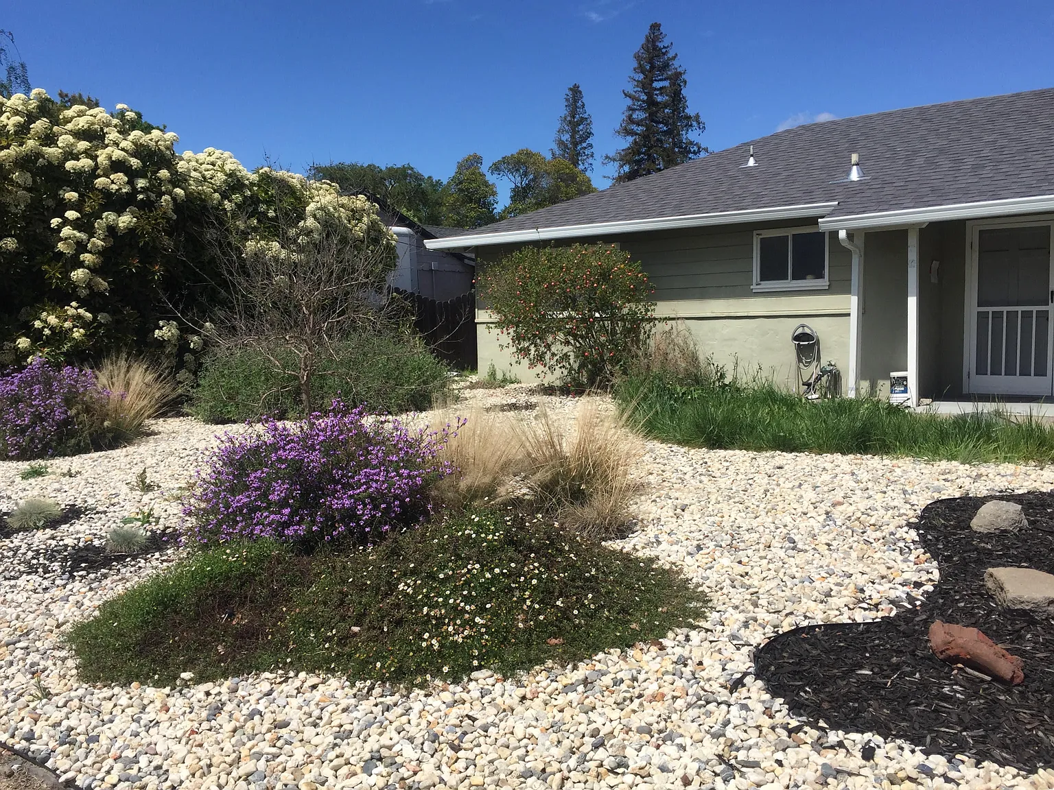 187 Agnes Way — Photo 3