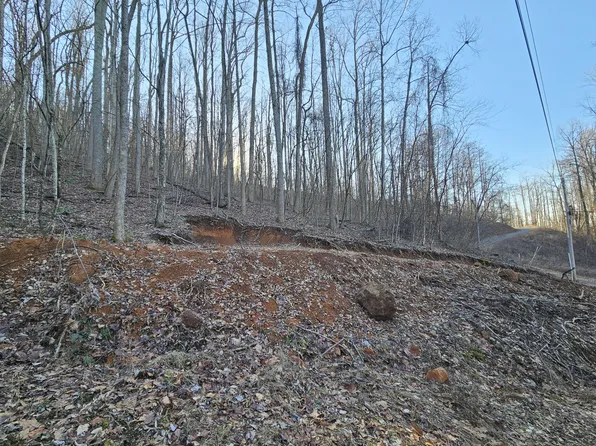 LOT 30 Grand Country Dr, Cosby, TN 37722