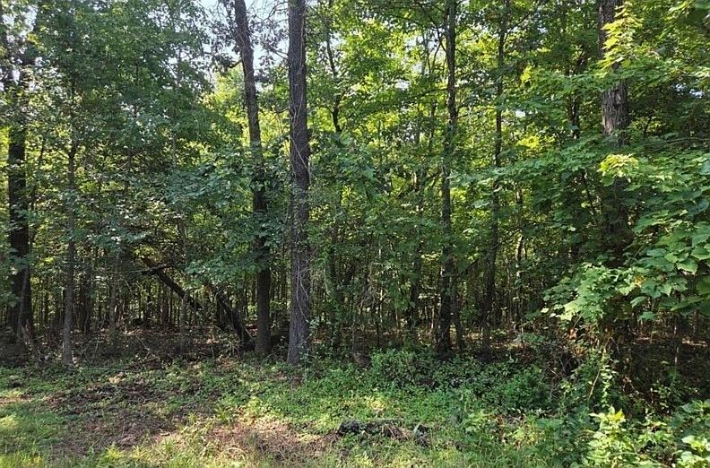 1st image of Pamela Ln #4