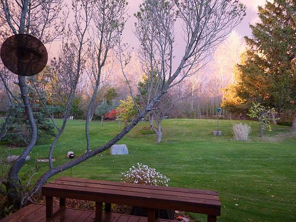 back yard