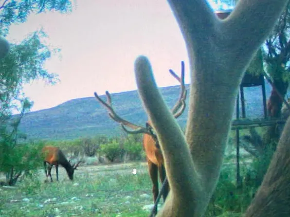 Sd 45200 #450, Rocksprings, TX 78880