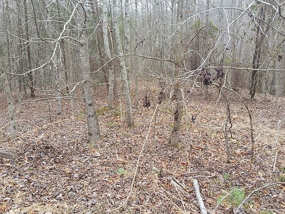2nd image of Black Hawk Dr
